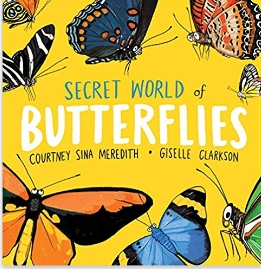 Secret World of Butterflies - cover image and web link